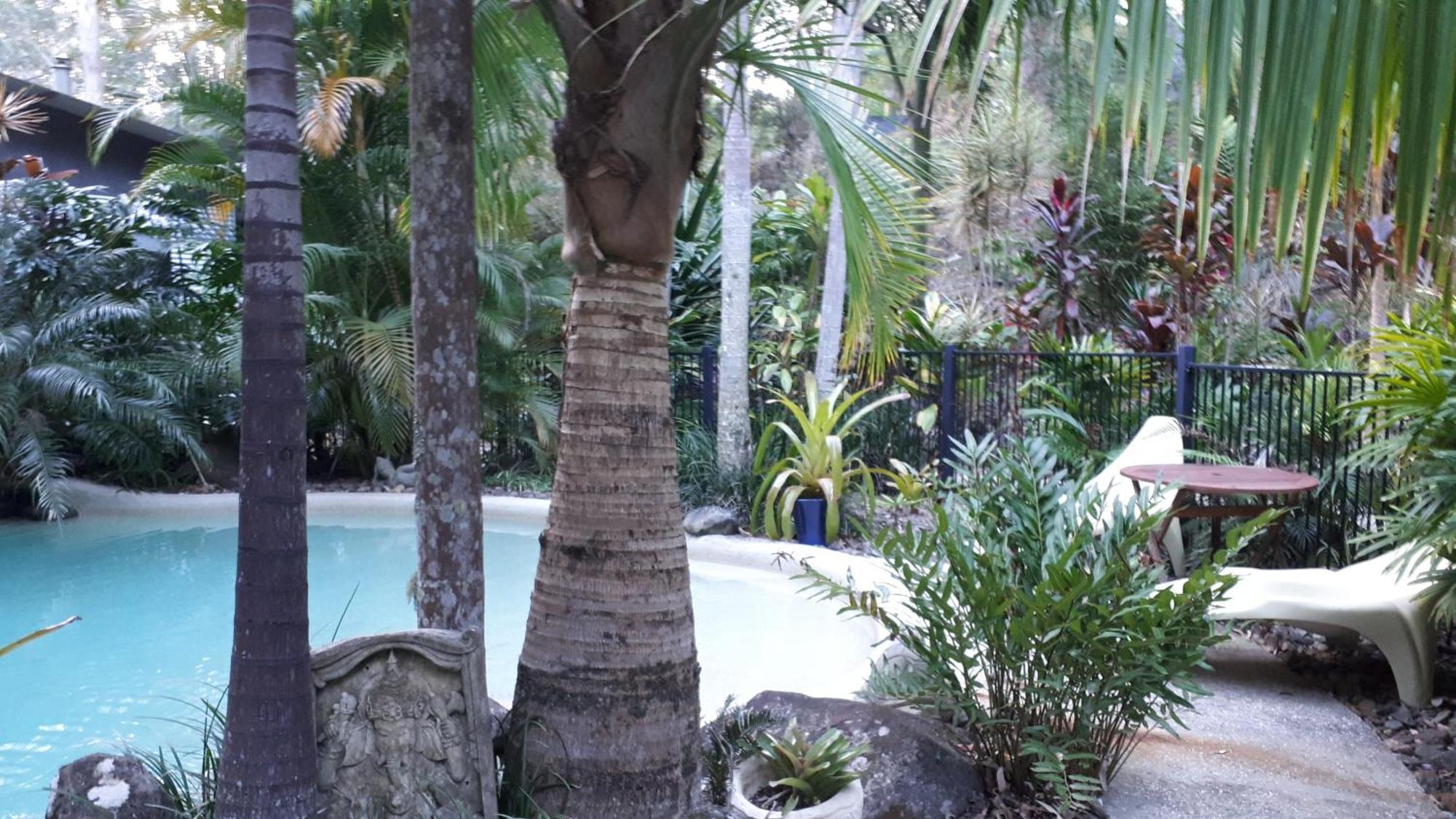 Bed and Breakfast Alaya Escape Eudlo Esterno foto