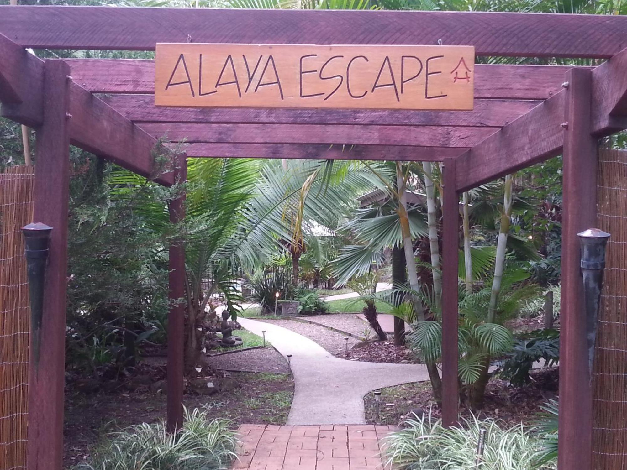 Bed and Breakfast Alaya Escape Eudlo Esterno foto