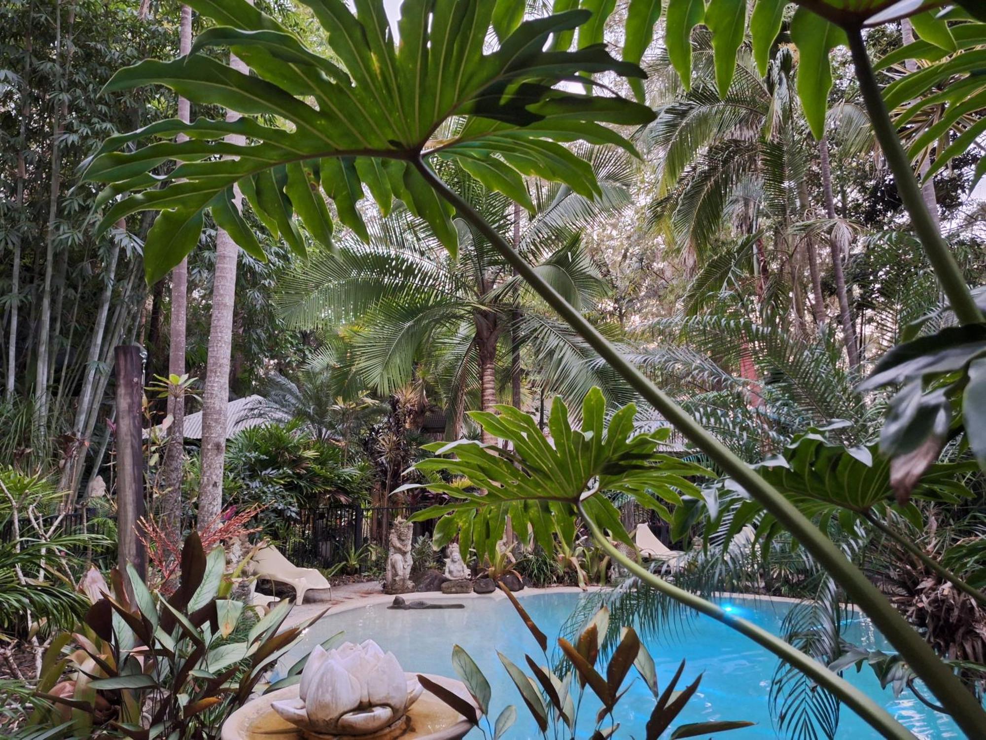 Bed and Breakfast Alaya Escape Eudlo Esterno foto