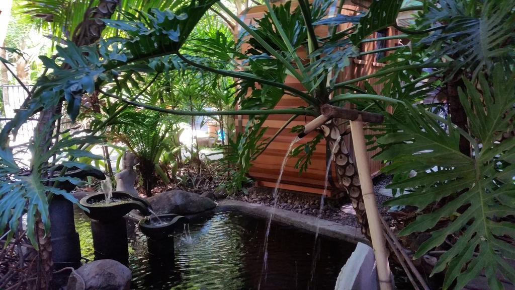 Bed and Breakfast Alaya Escape Eudlo Esterno foto